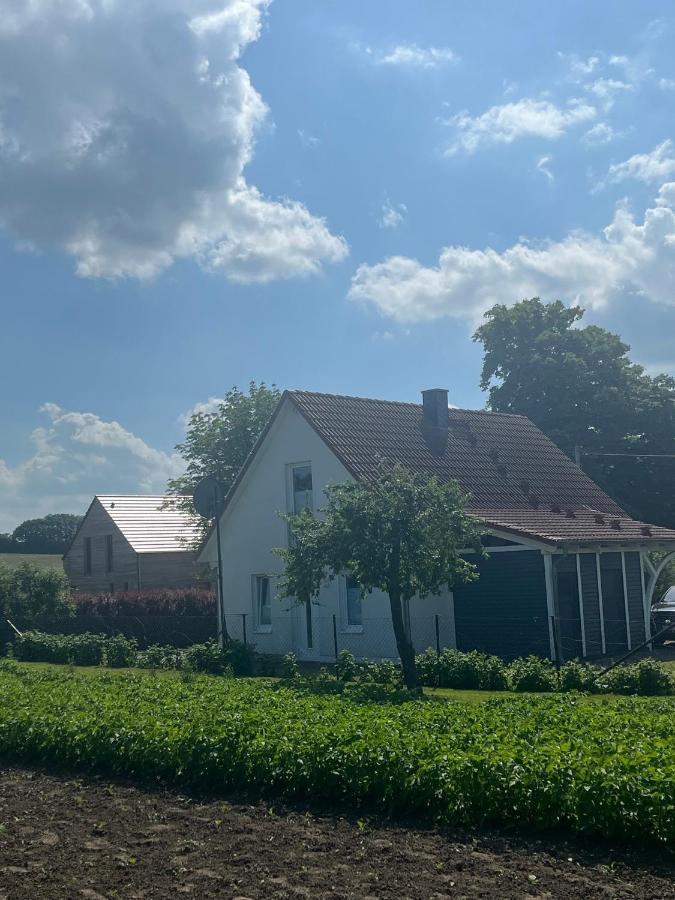 Kalkhorst Ferienhaus Muschel מראה חיצוני תמונה